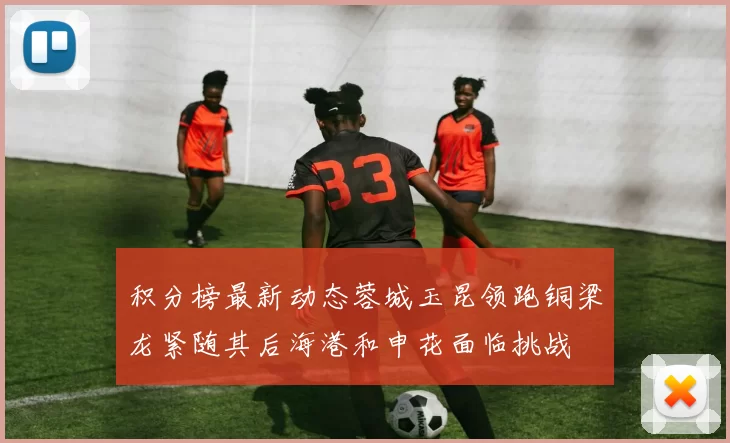 积分榜最新动态蓉城玉昆领跑铜梁龙紧随其后海港和申花面临挑战
