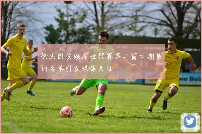 徐杰因伤缺席世预赛第二窗口期集训名单引发媒体关注
