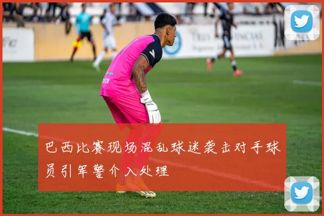 巴西比赛现场混乱球迷袭击对手球员引军警介入处理